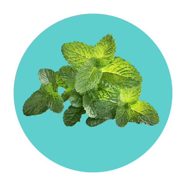 All-natural peppermint
