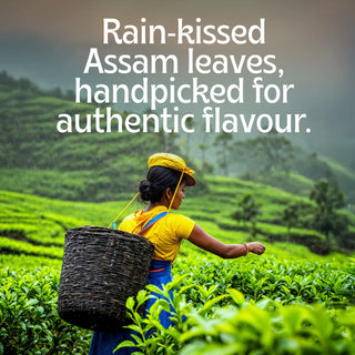 Assam Tea