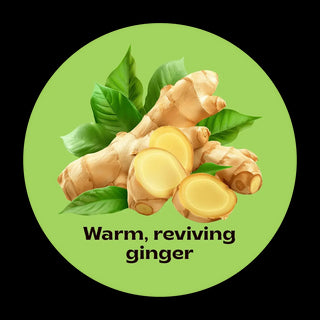 Ginger Tulsi Honey - TE-A-ME