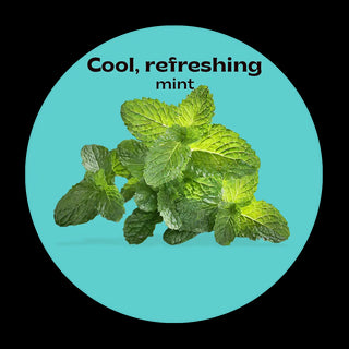 Mint Lemon Ginger Tea - TE-A-ME