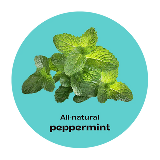 Peppermint Tea Tin 50gms