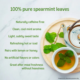 Spearmint Infusion
