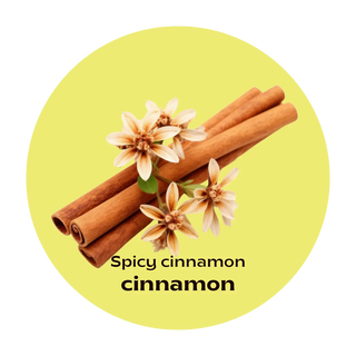 Apple Cinnamon Tea - TE-A-ME