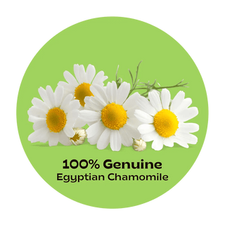 Egyptian Chamomile Tea