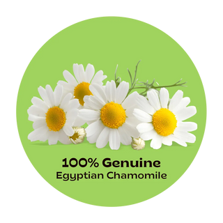 Egyptian Chamomile Tea