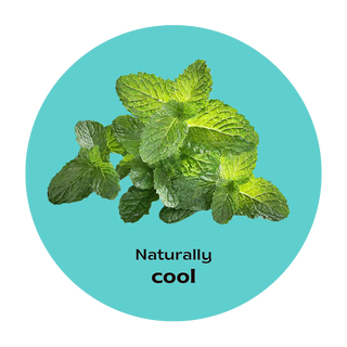 Spearmint Tea Loose 40gms